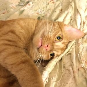 Meet your Posher, Karen